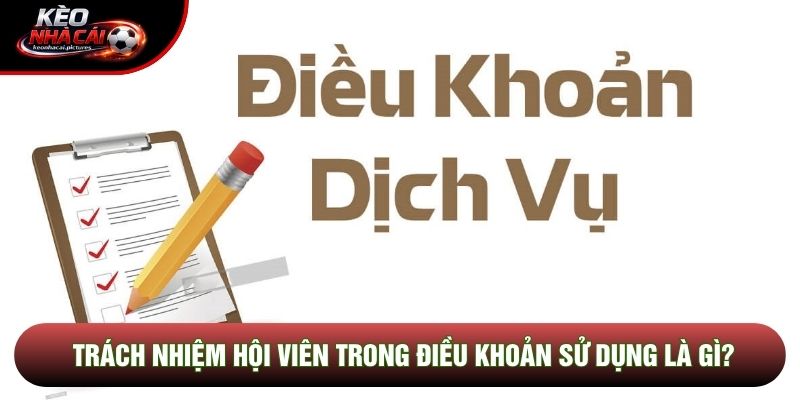 Trách nhiệm hội viên trong điều khoản sử dụng là gì? Trách nhiệm hội viên trong điều khoản sử dụng là gì?